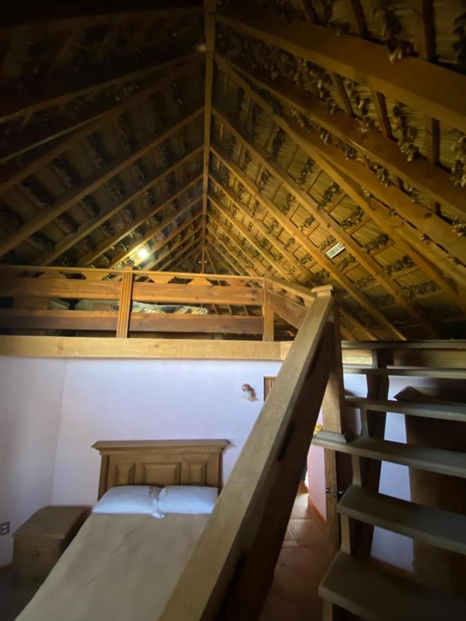 Ecoturismo Cabanas La Florida Cardonal Eksteriør bilde